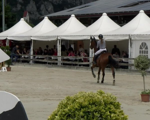 Reitturnier Balsthal 2022