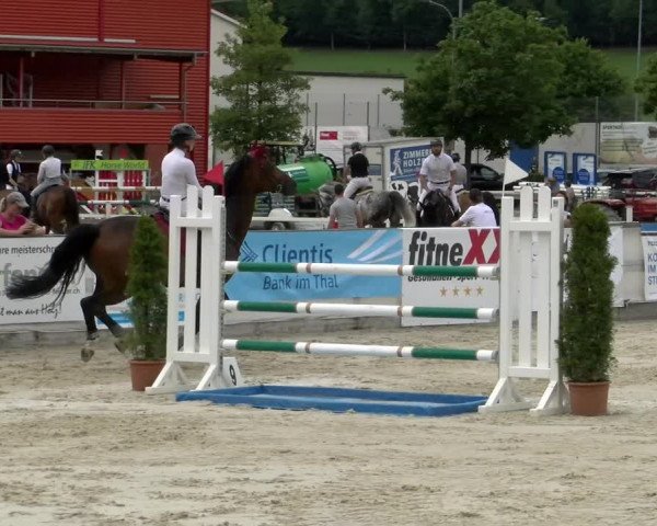 Reitturnier Balsthal 2022