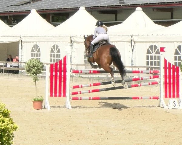 Reitturnier Balsthal 2022