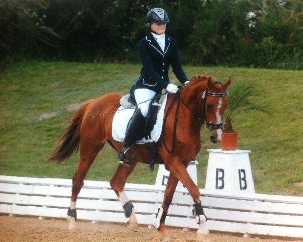 dressage horse Bodethal's Alina (German Riding Pony, 2007, from Arts-Dancer-Boy)