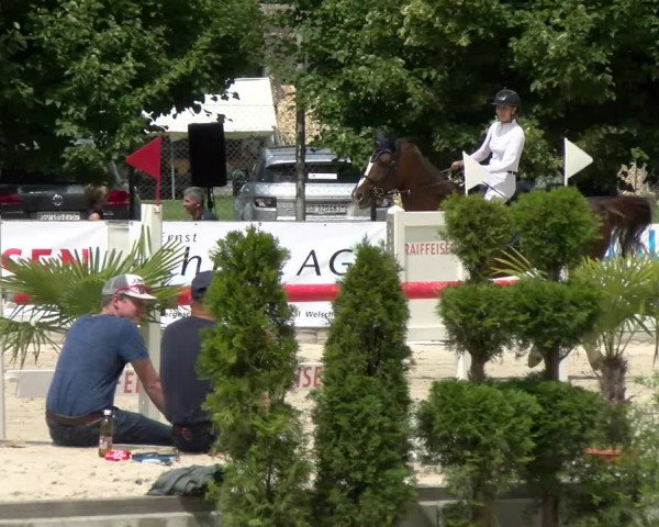 Reitturnier Balsthal 2022