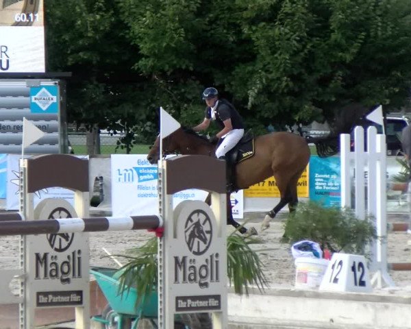 Reitturnier Balsthal 2022
