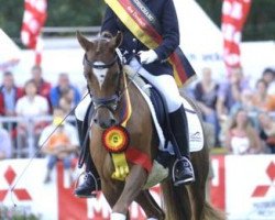 broodmare Bodethal's Kosima (German Riding Pony, 2002, from Speyksbosch Nelson)