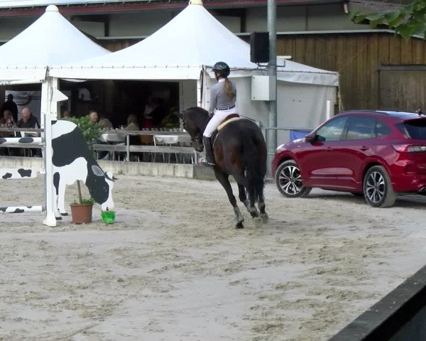 Reitturnier Balsthal 2022