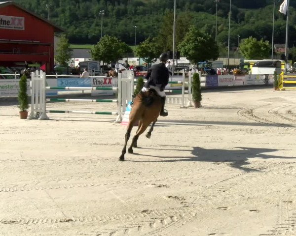 Reitturnier Balsthal 2022