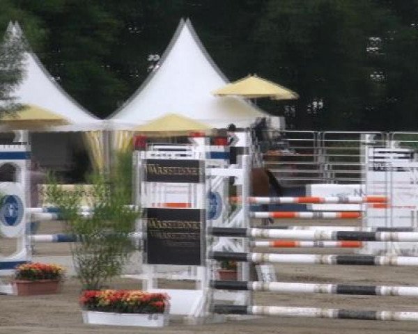 jumper Viva Velle (Westphalian, 2007, from Verdi)