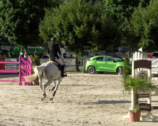 Reitturnier Balsthal 2022