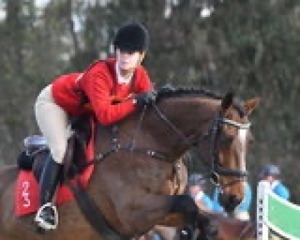 horse Laser Flash xx (Thoroughbred, 2009, from Redoute's Choice xx)