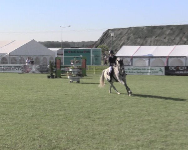 Reitturnier Dersekow 2022
