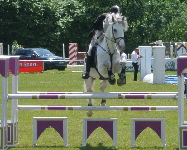 jumper Letorro Carero (Brandenburg, 2002, from Levisto Z)