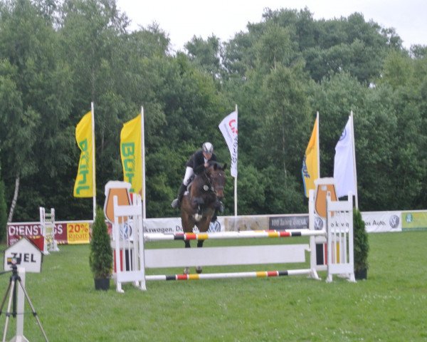 jumper Lamarc 19 (Westphalian, 2003, from Lancer III)