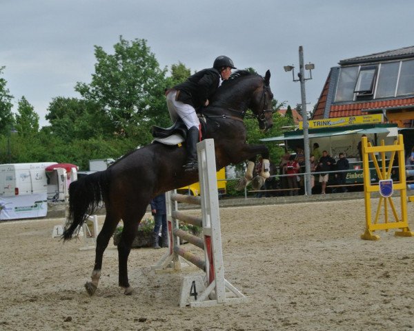 jumper Cimborazzo (Hanoverian, 1998, from Crazy Classic)