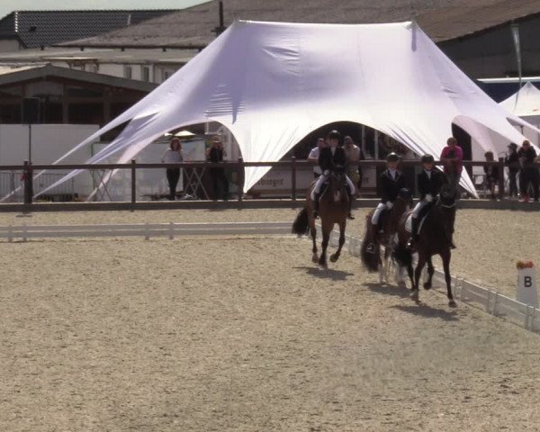 Reitturnier Leichlingen-Witzhelden - Sieferhof 2022