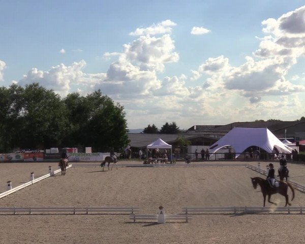 Reitturnier Leichlingen-Witzhelden - Sieferhof 2022