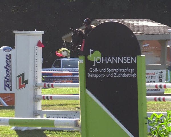 Reitturnier Wohlesbostel 2022
