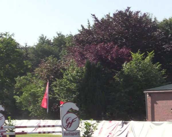 Reitturnier Wohlesbostel 2022