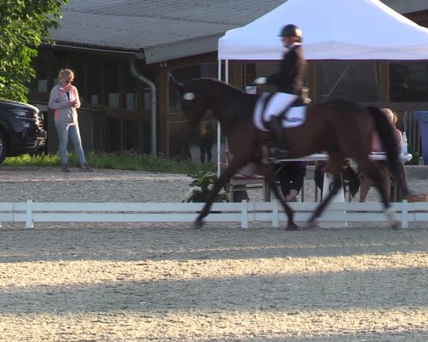 Reitturnier Leichlingen-Witzhelden - Sieferhof 2022