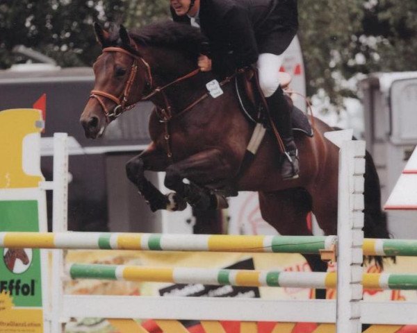 broodmare Celine (Westphalian, 2001, from Cordobes II)