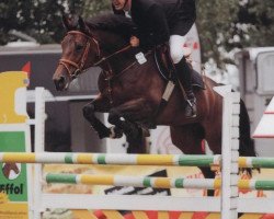 Zuchtstute Celine (Westfale, 2001, von Cordobes II)