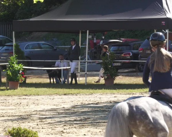 Reitturnier Heiligenwald 2022