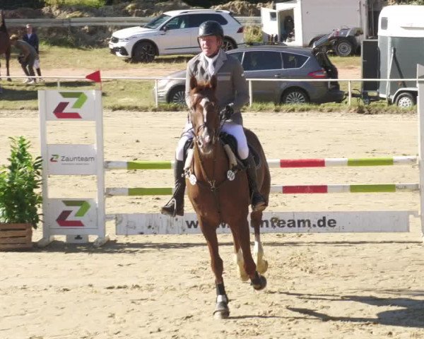 Reitturnier Heiligenwald 2022