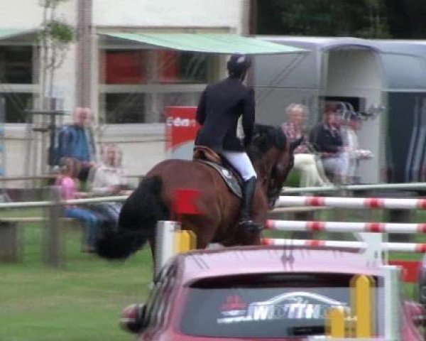Deckhengst Gentleman (Lewitzer, 2003, von Gildo)