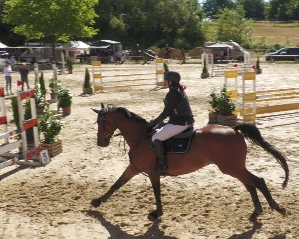 Reitturnier Heiligenwald 2022