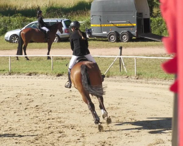Reitturnier Heiligenwald 2022