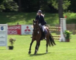 jumper Sarafan II (German Sport Horse, 2007, from Sarafan)