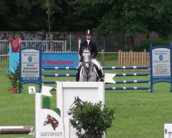 jumper Cinderella 634 (Saxony-Anhaltiner, 2008, from Colorit)