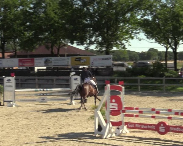 Reitturnier Barlo-Bocholt 2022