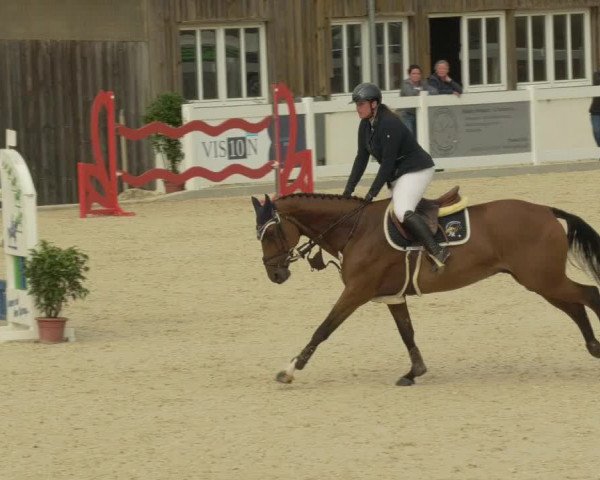 Springturnier Memmingen 2021