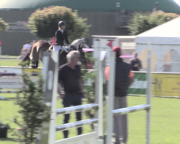 Reitturnier Dersekow 2022