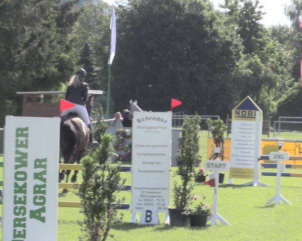 Reitturnier Dersekow 2022