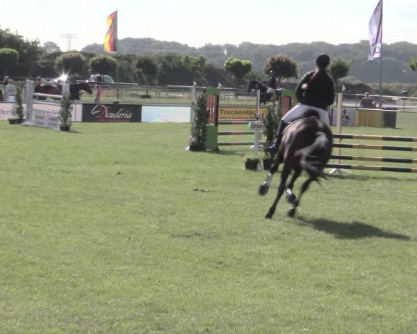 Reitturnier Dersekow 2022