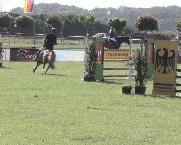 Reitturnier Dersekow 2022