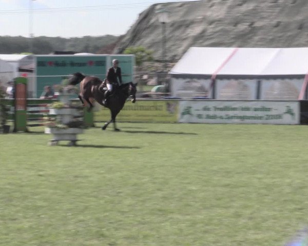Reitturnier Dersekow 2022