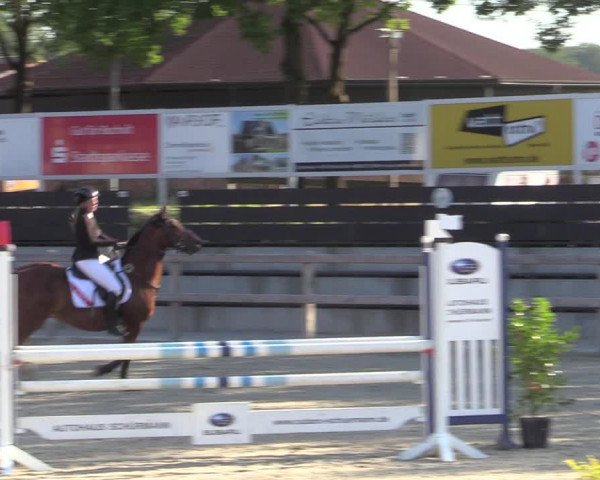 Reitturnier Barlo-Bocholt 2022