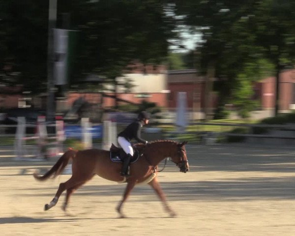 Reitturnier Barlo-Bocholt 2022