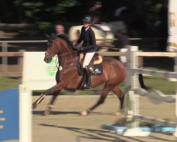 Reitturnier Barlo-Bocholt 2022