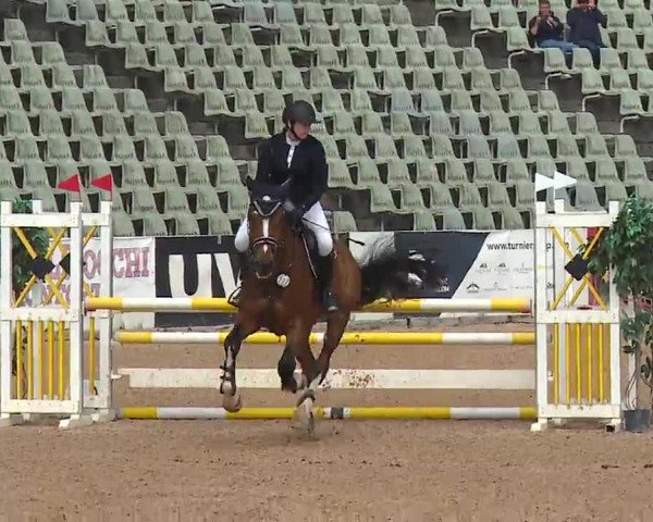Reitturnier Kreuth/Opf. 2022