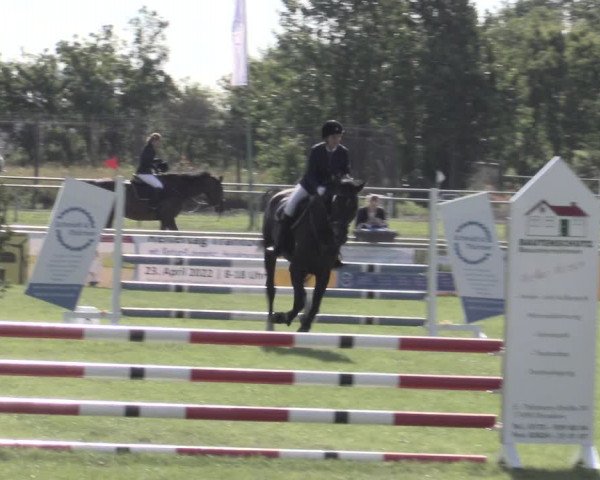 Reitturnier Dersekow 2022