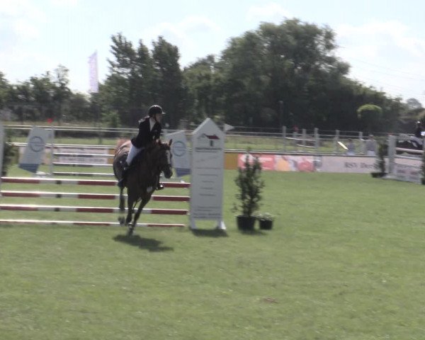 Reitturnier Dersekow 2022