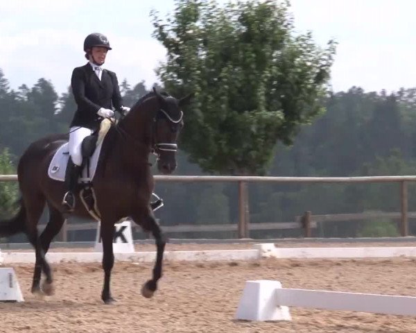 Reitturnier Kreuth/Opf. 2022