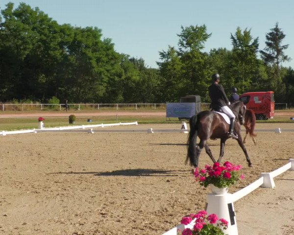 Reitturnier Heiligenwald 2022
