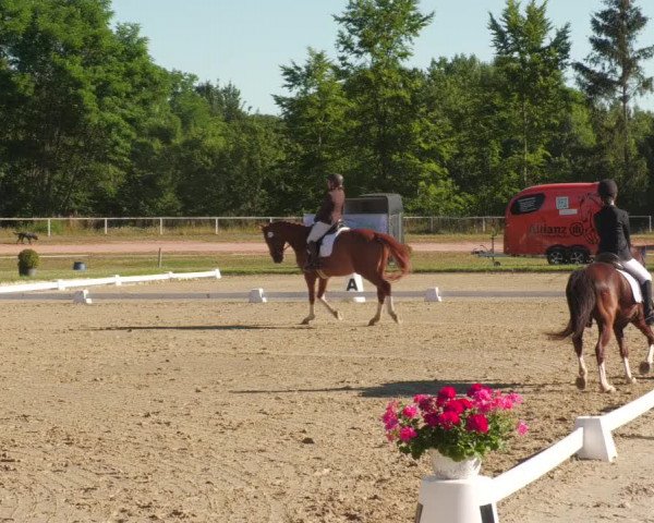 Reitturnier Heiligenwald 2022
