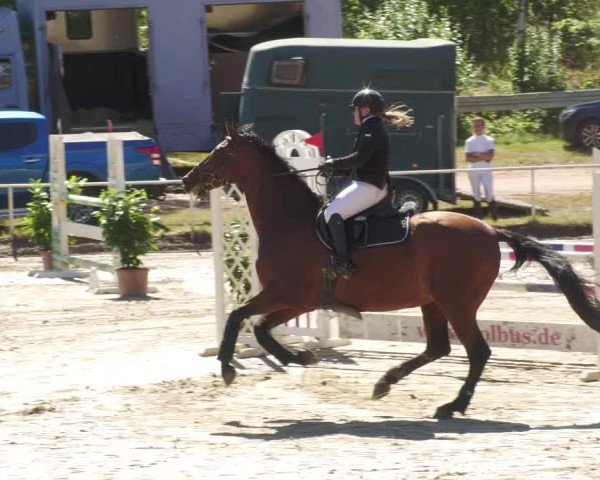 Reitturnier Heiligenwald 2022