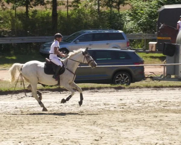 Reitturnier Heiligenwald 2022