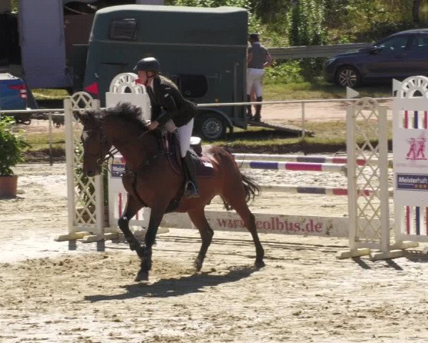 Reitturnier Heiligenwald 2022