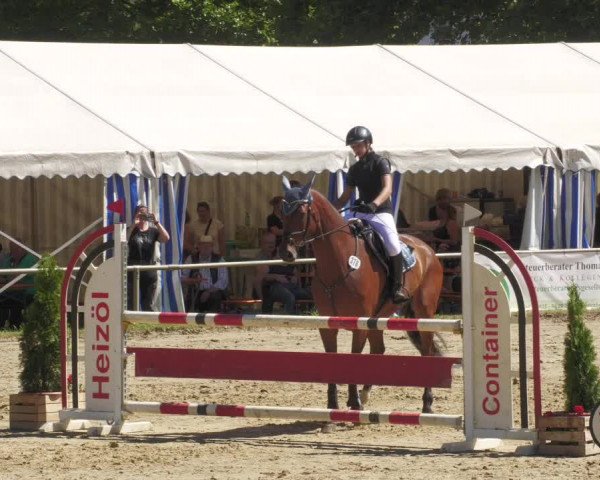 Reitturnier Heiligenwald 2022